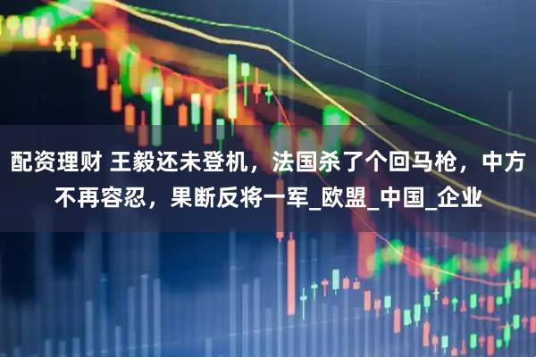 配资理财 王毅还未登机，法国杀了个回马枪，中方不再容忍，果断反将一军_欧盟_中国_企业